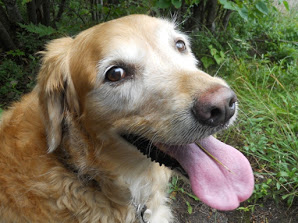 Rosie